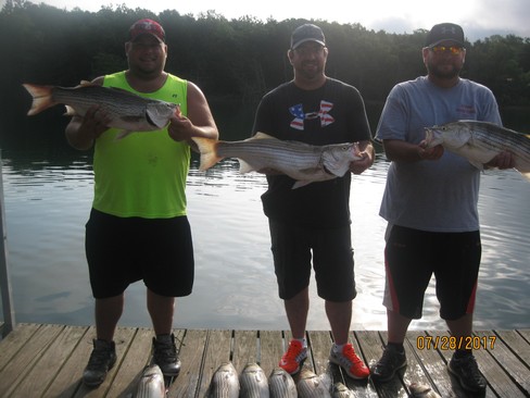 Nice Striped Bass